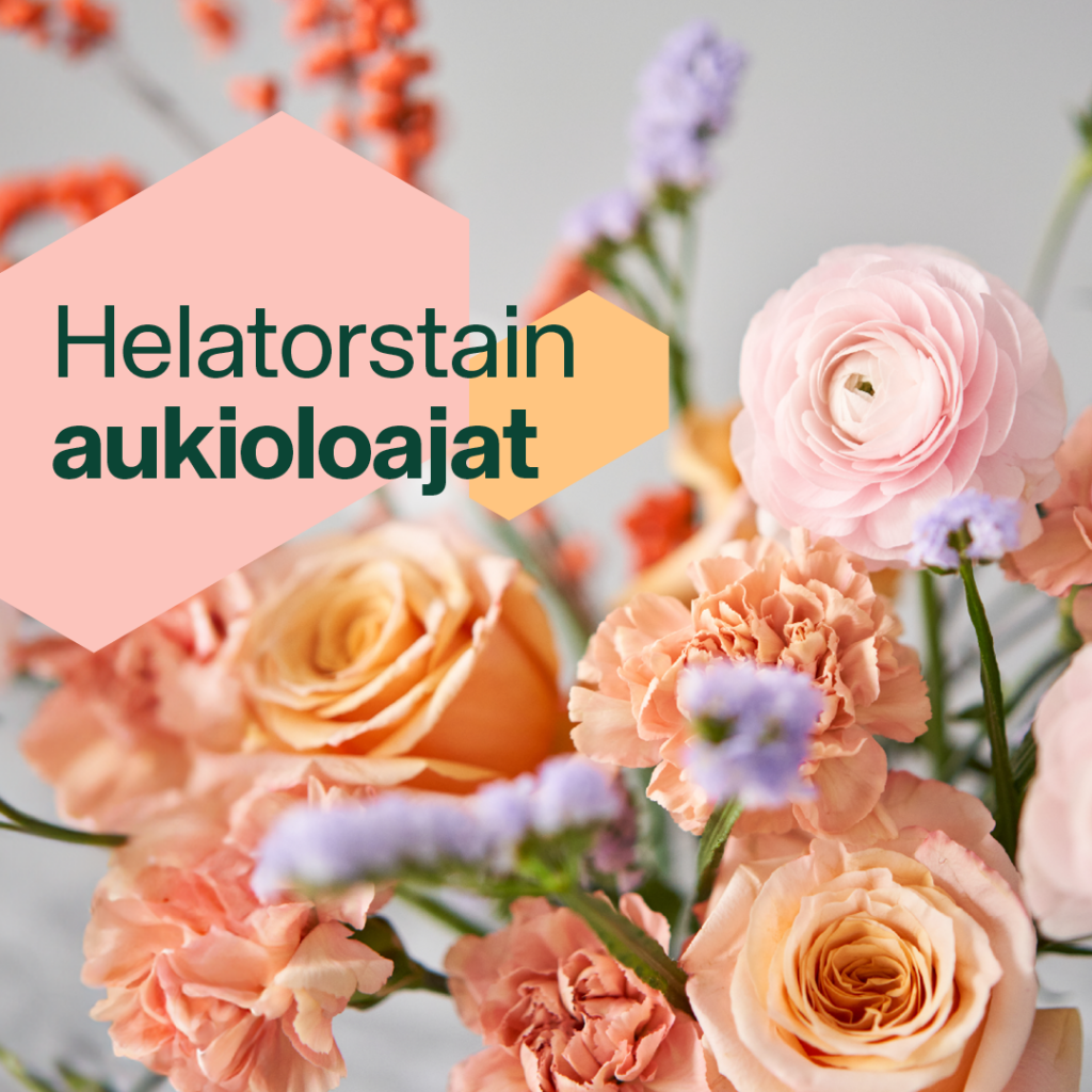 Trio Helatorstain aukioloajat
